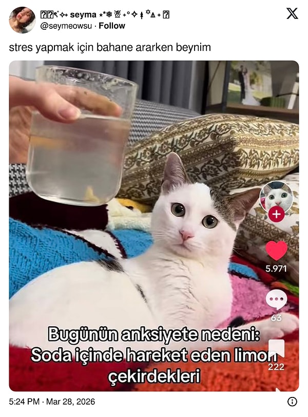 Yarın görüşürüz 👋