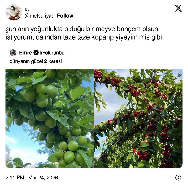 Kokusu burnumuza geldi.