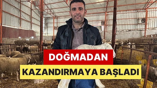 Koç Değil Darphane: 1 Milyon 110 Bin Liraya Aldı, Daha Doğmadan Talep Yağdı!