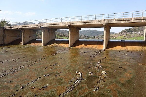 Geçen yılın zorlu geçtiğini de hatırlatan Yalçın, “Son 65 yılın en kurak sezonuydu ama şükürler olsun ki bu mevsim çok bereketli geçti” sözleriyle durumu özetledi.