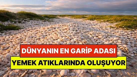 Dünyanın En Garip Adası: Yemek Atıklarından Oluşmuş 3 Bin Metrekarelik Ada Keşfedildi