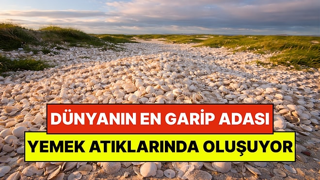 Dünyanın En Garip Adası: Yemek Atıklarından Oluşmuş 3 Bin Metrekarelik Ada Keşfedildi