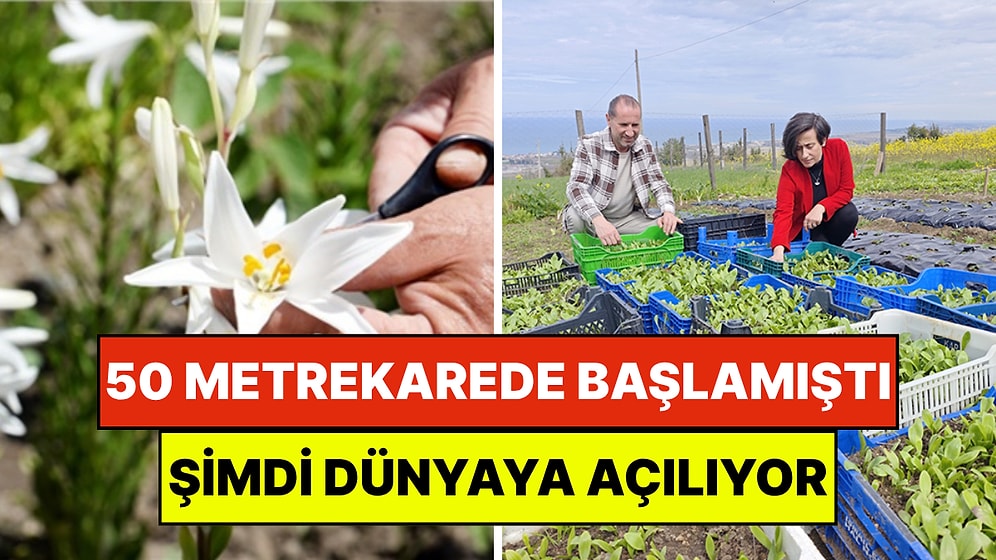 Küçük Bir Bahçede Başladı, Şimdi Dünyaya Açılıyor: Samsunlu Çiftin 'Beyaz Altın' Hikayesi