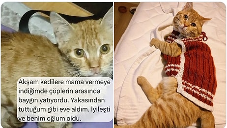 Çok Sevdikleri Kedileriyle Tanışma Hikayelerini Anlatan Kişiler