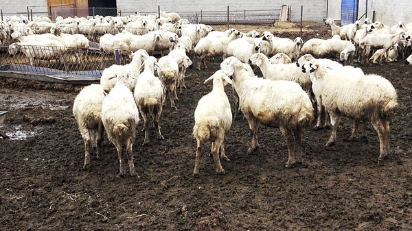 Milli kalkınma için üretim şart.