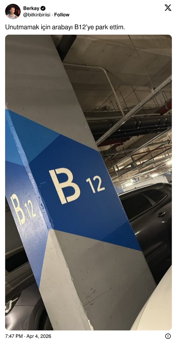 İyi fikirmiş de bunu da unuturuz.