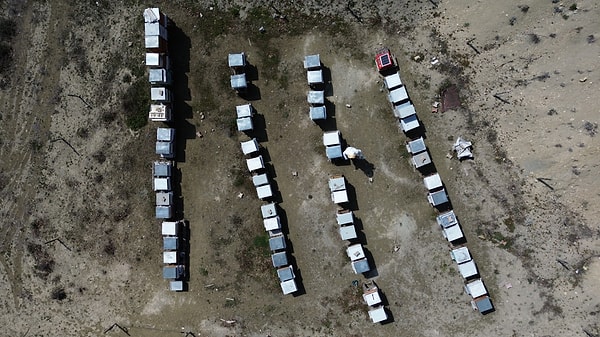 2023 yılına geldiğinde elindeki kovan sayısı 50’ye ulaşmıştı.