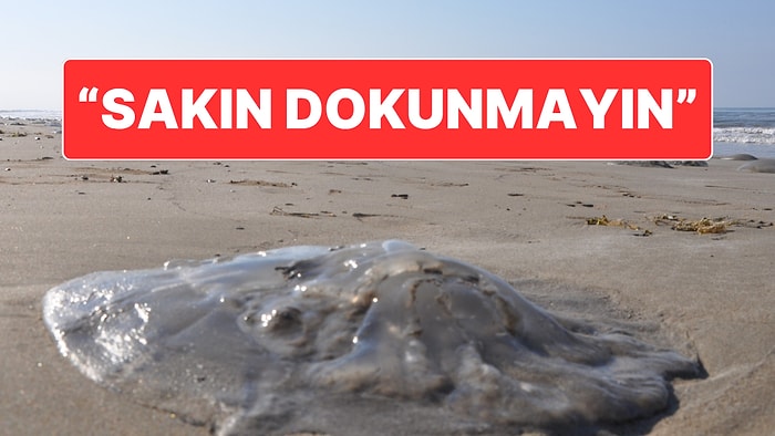 Mersin’de Sahile Vuran Ölü Denizanaları İçin "Sakın Dokunmayın" Uyarısı