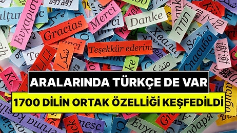 Türkçe de Dahil 1700'den Fazla Dilin Ortak Özellikleri Keşfedildi