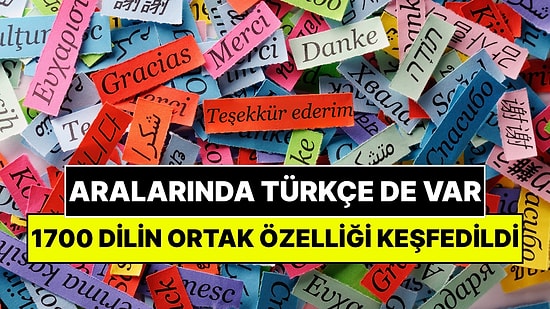 Türkçe de Dahil 1700'den Fazla Dilin Ortak Özellikleri Keşfedildi