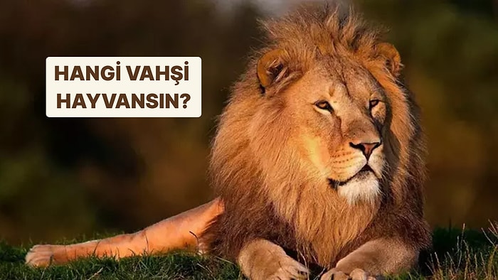 Doğduğun Aya Göre Hangi Vahşi Hayvansın?