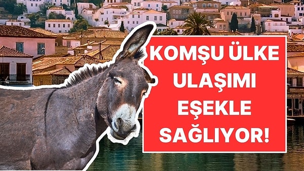 Komşu Ülkenin Adasında Araba Yasak: Ulaşım Eşekle Sağlanıyor