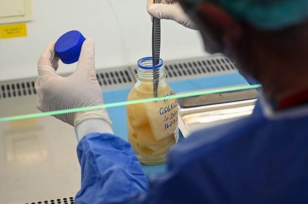 "Tüm Türkiye'ye yetecek seviyeye gelmeyi planlıyoruz"