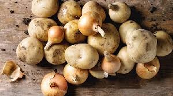 Etilen Gazı: Bitkisel Bir "Hızlandırıcı"