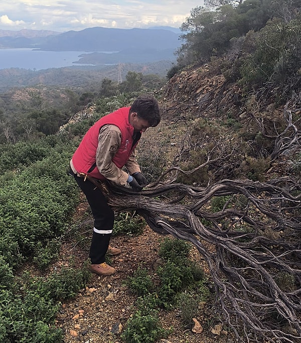 Bu yılki verilere göre bölgedeki faaliyetlerin boyutu oldukça dikkat çekici bir seviyeye ulaştı.