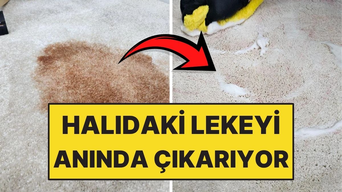 Herkeste Bulunan Malzeme Halıdaki Lekeleri Anında Temizliyor