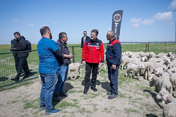Küçükbaş hayvancılığa ayrı önem verdiklerini belirten Yumaklı, sözlerine şöyle devam etti: