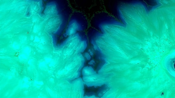 What is the "Olo" Color and How Was It Created?