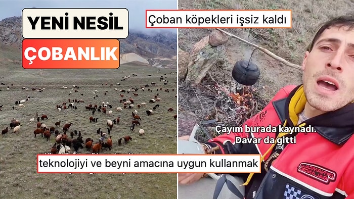 Bir Çoban Drone ile Sürüsünü Yerinden Kıpırdamadan Dakikalar İçinde Toparladı