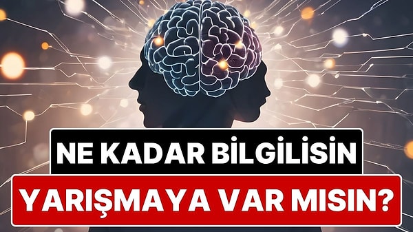Bu Testte Yapay Zeka Geçmez! Ne Kadar Bilgilisin? Yoksa Cahil misin?