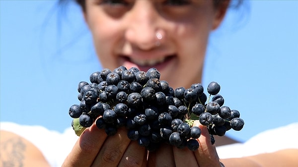 Gıda sanayiinden kozmetik sektörüne kadar uzanan geniş kullanım yelpazesi sanayicilere hammadde sağlıyor