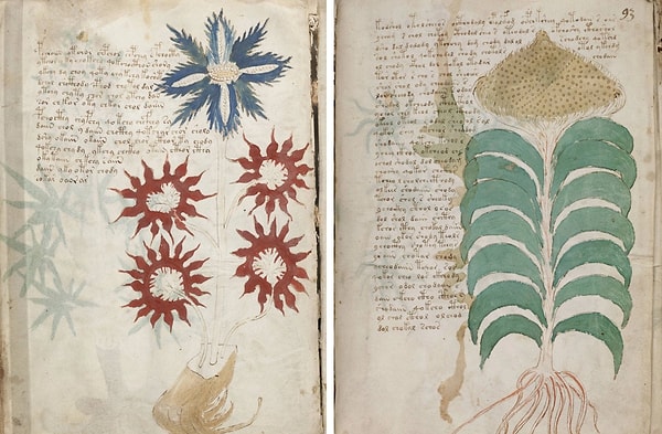 Voynich El Yazması: 600 Yıldır Hiçbir Kriptografın Çözemediği Kitabın Sırrı Ne?