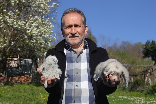 Toplumdaki "baykuş ötmesi uğursuzluk getirir" algısına sitem eden Atilla Karakaya, yaşadığı tecrübenin tam tersini gösterdiğini söylüyor: