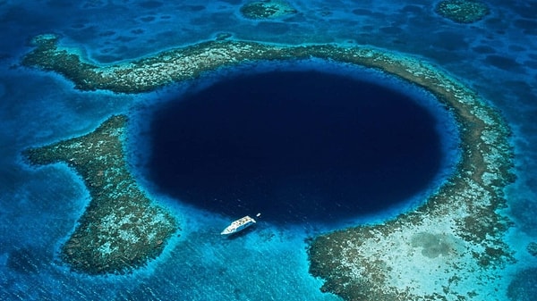 What Creatures Inhabit the Mariana Trench?