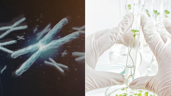 The Scientist Who Created an Artificial Living Cell from Scratch: Craig Venter