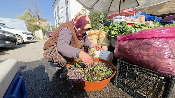 Pazarlarda yoğun talep gören kaldirik otunun satış miktarı da dikkat çekici seviyelere ulaşıyor.