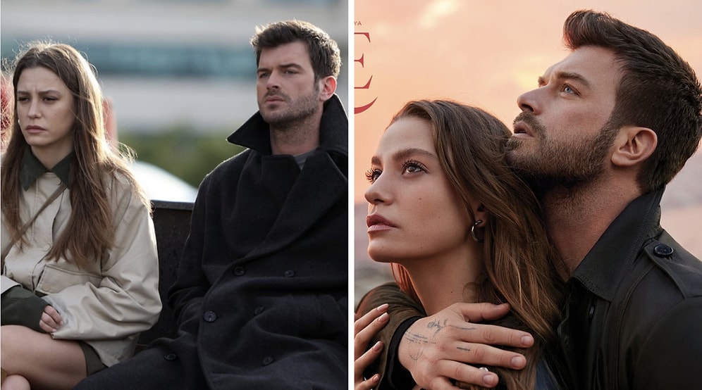 The Family Series: Cast, Plot and Where to Watch Guide