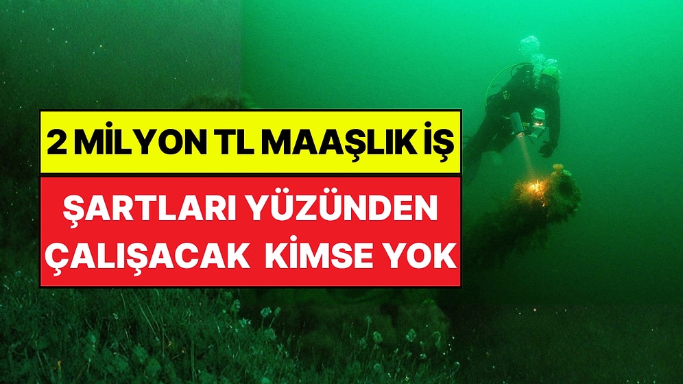 2 Milyon TL Maaşla Türkiye'nin En Çok Kazandıran Mesleği: Şartları Yüzünden Çalışacak Eleman Bulamıyorlar