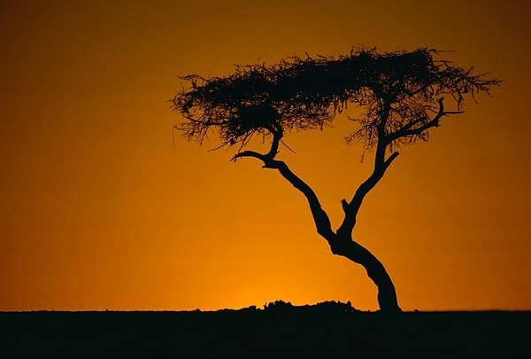 Trajik sonu dünyayı şaşkına çevirdi