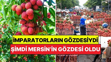 Bir Zamanlar Çin İmparatorlarının Vazgeçilmeziydi: Şimdi Sadece Mersin'de Yetiştiriliyor