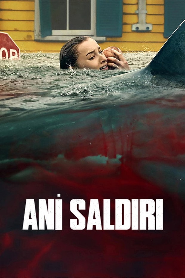 Ani Saldırı Posteri