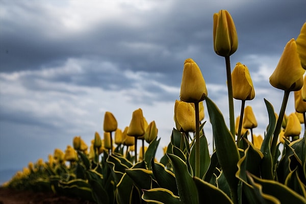 Ziyaretçilere uyarı geldi.