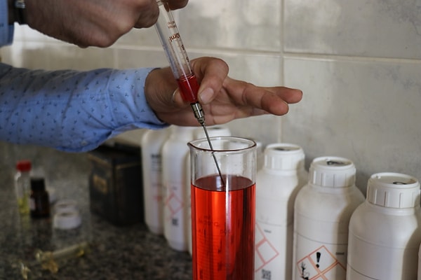 Yıllarca bölgedeki gölge zambaklarının yurt dışına götürüldüğünü belirten Murat Kılıç, süreci şu sözlerle özetledi: