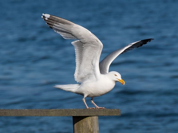 Yorgunluk için de birebir!