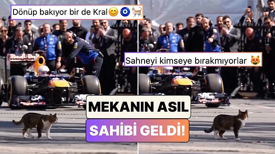 Üsküdar'daki Formula 1 Çekimlerinde Ekibe İstanbul'da Olduklarını Hatırlatan Kültür Elçimiz: Kedi