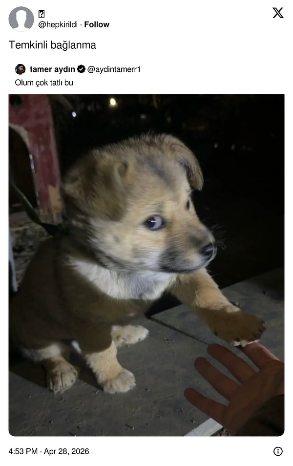 Tam olarak bu bakış...