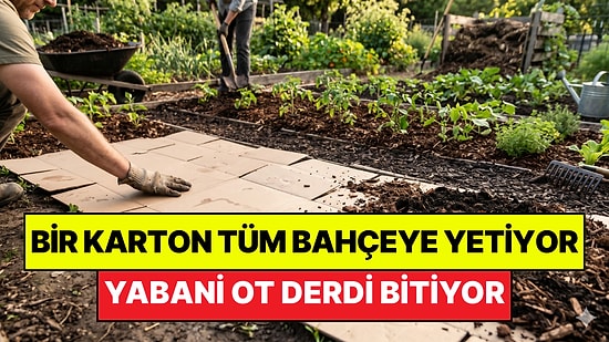 Bahçelerde Kartonla Doğal İlaçsız Dönem Başlıyor: Yabani Ot Derdini Kökünden Çözüyor
