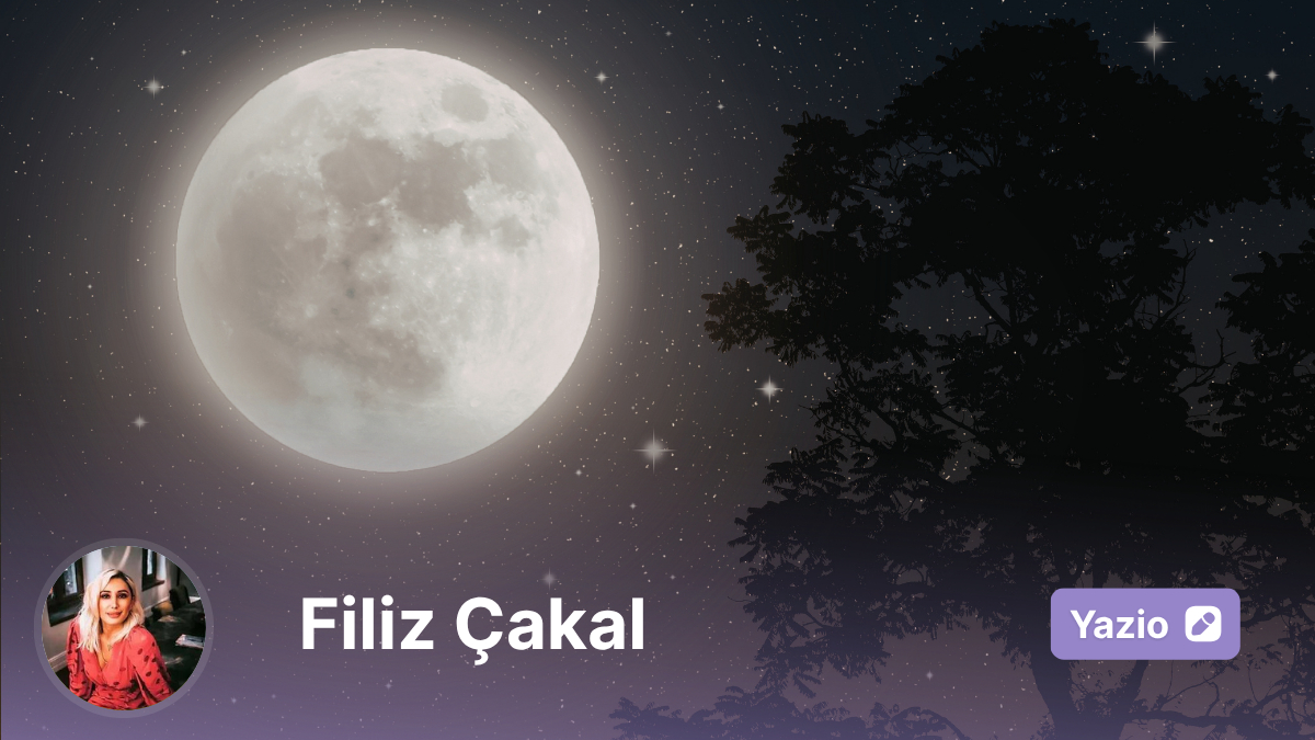 Akrep Dolunayı: Hesap Lütfen