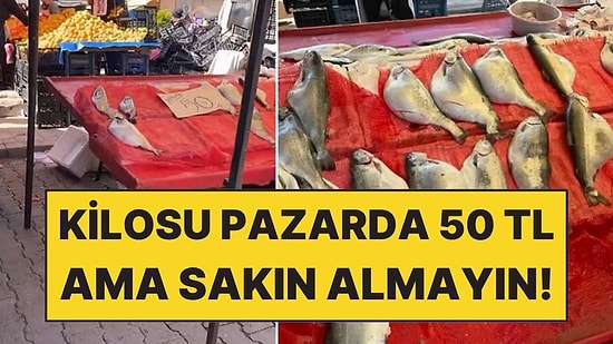 Kilosu 50 TL Olan Balık İçin Gıda Mühendisinden Uyarı Geldi: "Sakın Almayın"