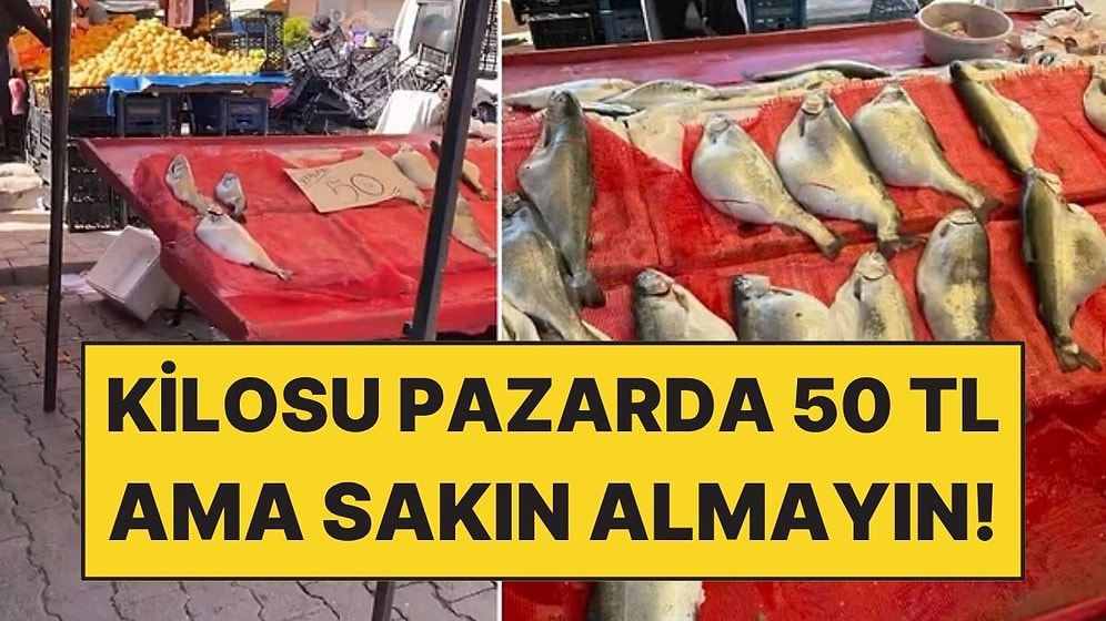 Kilosu 50 TL Olan Balık İçin Gıda Mühendisinden Uyarı Geldi: "Sakın Almayın"