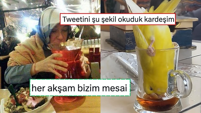 Kadınların Çay Sevgisini Sorgulayan X Kullanıcısı Çaykoliklerden Linç Yiyince Şaştı Kaldı