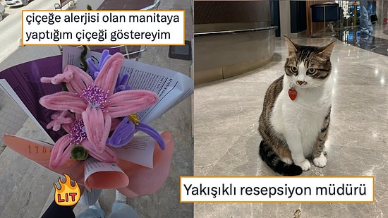 Mevsime Göre Karakter Değiştirenden Her Görüşe Saygı Duymayı Bırakana Son 24 Saatin Viral Tweetleri