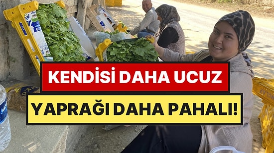 Yaprağı Meyvesinden Daha Değerli Oldu: Salkımı 90 TL, Dalı 120 TL