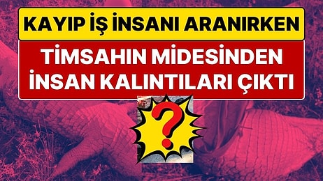 Kayıp İş İnsanı Aranırken 4,5 Metrelik Timsahın Midesinden İnsan Kalıntıları Çıkarıldı