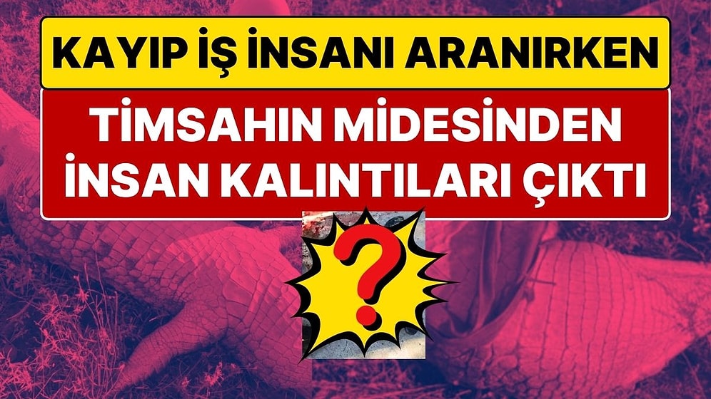 Kayıp İş İnsanı Aranırken 4,5 Metrelik Timsahın Midesinden İnsan Kalıntıları Çıkarıldı