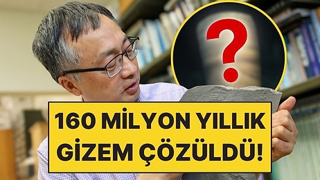 160 Milyon Yıllık Fosil Gizemi Çözüldü: Bilim İnsanları 'Hiç Böylesini Görmemiştik' Dedi